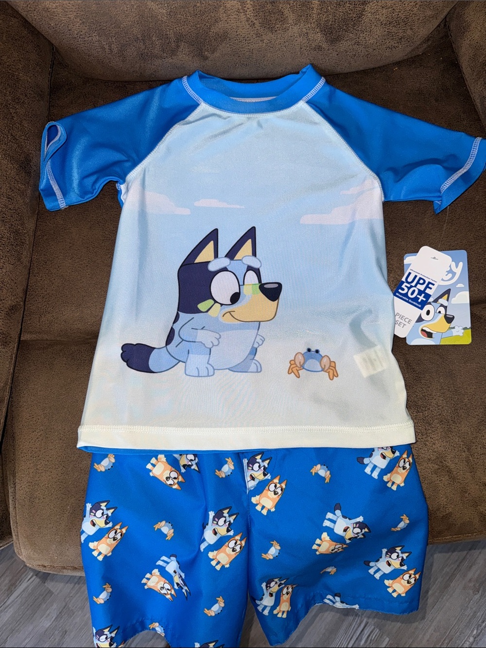 Bluey Bingo Kids swim shorts and Rash Guard swim Set - Picture 1 of 6